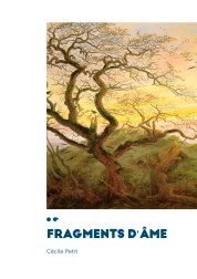 Cover of Fragments d'âme